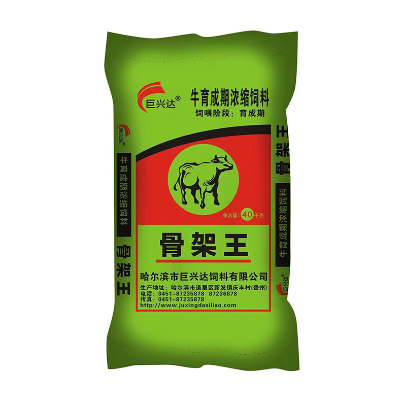 骨架王